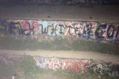 "Fuck White Art" graffiti